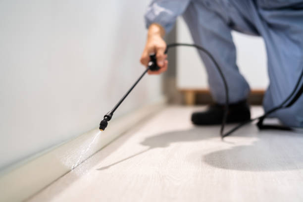 Licensed Pest Control service in Lake of the Woods, IL - Show Me Pest Control