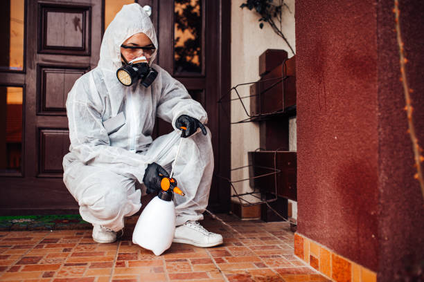 Attic and Crawl Space Rodent Treatment in Lake of the Woods